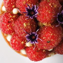 Tarte de Framboesa, Verbena & Pistácio 1